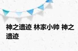 神之遗迹 林家小帅 神之遗迹 