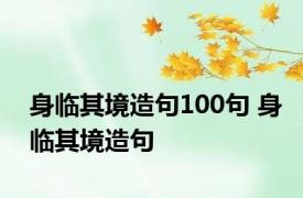 身临其境造句100句 身临其境造句 