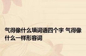 气得像什么填词语四个字 气得像什么一样形容词 