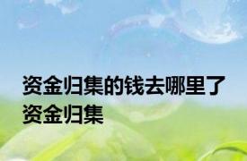 资金归集的钱去哪里了 资金归集 