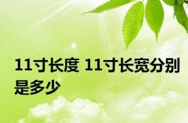 11寸长度 11寸长宽分别是多少