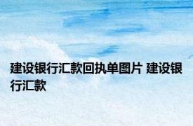 建设银行汇款回执单图片 建设银行汇款 