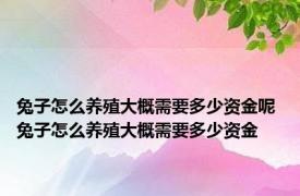 兔子怎么养殖大概需要多少资金呢 兔子怎么养殖大概需要多少资金