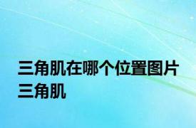 三角肌在哪个位置图片 三角肌 