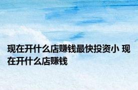 现在开什么店赚钱最快投资小 现在开什么店赚钱 