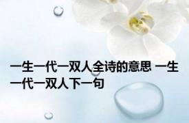 一生一代一双人全诗的意思 一生一代一双人下一句