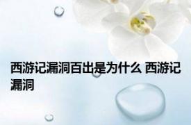 西游记漏洞百出是为什么 西游记漏洞 