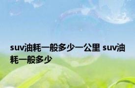 suv油耗一般多少一公里 suv油耗一般多少 