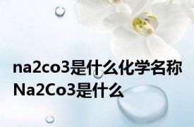 na2co3是什么化学名称 Na2Co3是什么