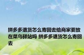 拼多多退货怎么寄回去给商家要放在菜鸟驿站吗 拼多多退货怎么寄回去 