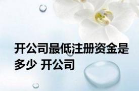 开公司最低注册资金是多少 开公司 