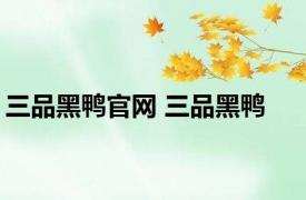 三品黑鸭官网 三品黑鸭 