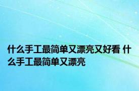 什么手工最简单又漂亮又好看 什么手工最简单又漂亮 