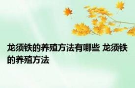 龙须铁的养殖方法有哪些 龙须铁的养殖方法