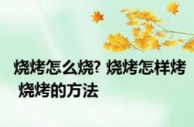 烧烤怎么烧? 烧烤怎样烤 烧烤的方法