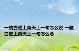一航白鹭上青天上一句怎么说 一航白鹭上青天上一句怎么念