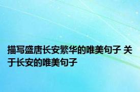 描写盛唐长安繁华的唯美句子 关于长安的唯美句子 