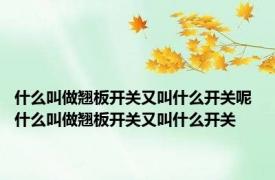 什么叫做翘板开关又叫什么开关呢 什么叫做翘板开关又叫什么开关