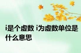 i是个虚数 i为虚数单位是什么意思