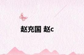 赵充国 赵c 