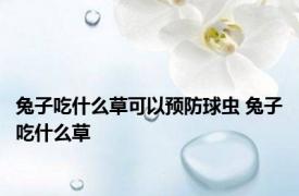 兔子吃什么草可以预防球虫 兔子吃什么草