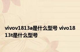 vivov1813a是什么型号 vivo1813t是什么型号 