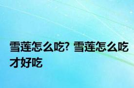 雪莲怎么吃? 雪莲怎么吃才好吃