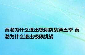 黄渤为什么退出极限挑战第五季 黄渤为什么退出极限挑战