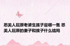 思美人屈原老婆生孩子是哪一集 思美人屈原的妻子和孩子什么结局