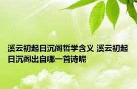 溪云初起日沉阁哲学含义 溪云初起日沉阁出自哪一首诗呢