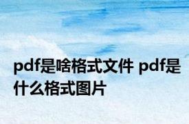 pdf是啥格式文件 pdf是什么格式图片 