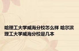 哈理工大学威海分校怎么样 哈尔滨理工大学威海分校是几本