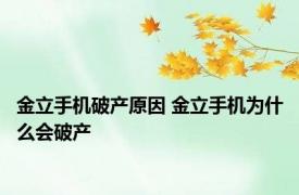 金立手机破产原因 金立手机为什么会破产