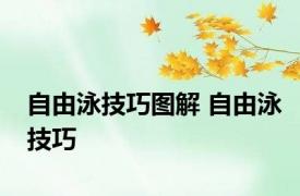 自由泳技巧图解 自由泳技巧 
