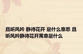 且听风吟 静待花开 是什么意思 且听风吟静待花开寓意是什么