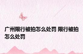 广州限行被拍怎么处罚 限行被拍怎么处罚 