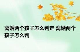 离婚两个孩子怎么判定 离婚两个孩子怎么判 