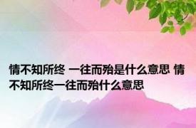 情不知所终 一往而殆是什么意思 情不知所终一往而殆什么意思