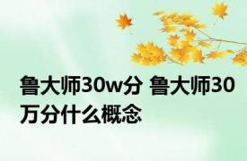 鲁大师30w分 鲁大师30万分什么概念 