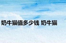 奶牛猫值多少钱 奶牛猫 
