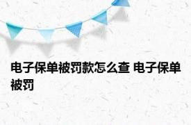 电子保单被罚款怎么查 电子保单被罚 