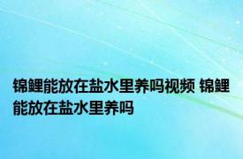 锦鲤能放在盐水里养吗视频 锦鲤能放在盐水里养吗