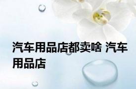汽车用品店都卖啥 汽车用品店 