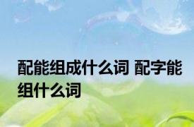 配能组成什么词 配字能组什么词