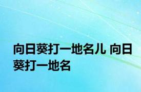 向日葵打一地名儿 向日葵打一地名 
