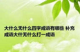 大什么无什么四字成语有哪些 补充成语大什无什么打一成语