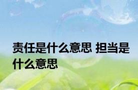 责任是什么意思 担当是什么意思