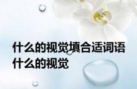 什么的视觉填合适词语 什么的视觉 