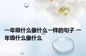 一年级什么像什么一样的句子 一年级什么像什么