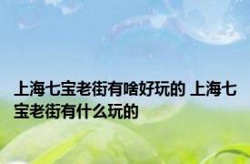 上海七宝老街有啥好玩的 上海七宝老街有什么玩的